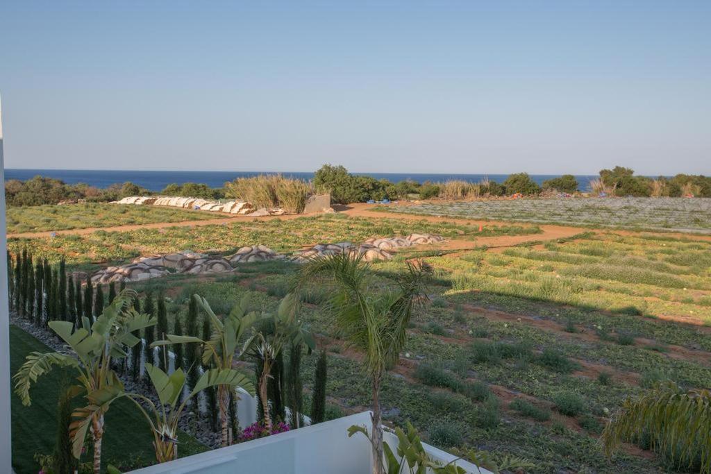 The White H Villa, Protaras, Fresh And Peaceful パラリムニ エクステリア 写真